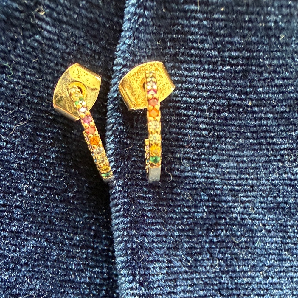 Gold Tone Multicolor Pave Hoop Earrings
